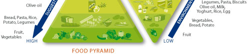 nutrition & environmental pyramids